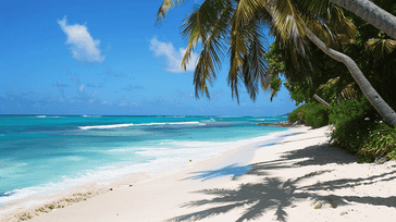 Barbados Bliss: Tropical Paradise in the Caribbean