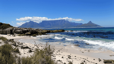 Cape Town Chronicles: A Journey Through the Mother City