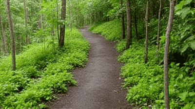 Dominica's Jungle Adventures: Boiling Lake Hike, Champagne Reef Snorkeling & Carib Territory Culture