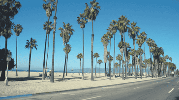 Los Angeles Liveliness: Hollywood and Beaches