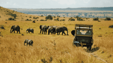 Maasai Mara Magic: Safari Adventures in Kenya