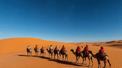 Mongolia's Gobi Desert Adventure: Camel Trekking, Starry Nights & Staying with Nomadic Families