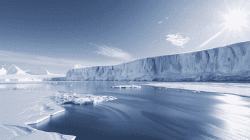 Palmer Station Perfection: An Antarctic Expedition