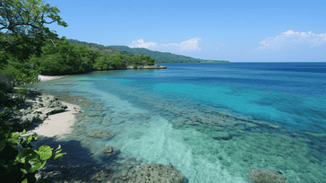 Roatan Rhythms: Diving in Honduras