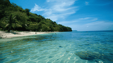 Roatan Rhythms: Diving in Honduras