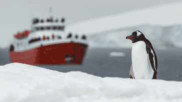 South Pole Sojourn: Exploring the Antarctic Wilderness