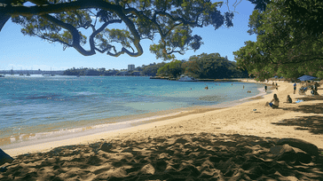 Sydney Splendor: Harbor Views and Beach Bliss in Australia