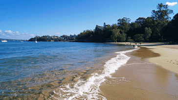 Sydney Splendor: Harbor Views and Beach Bliss in Australia