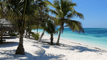 Tulum Treasures: Beach Bliss in Mexico