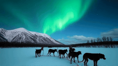 Winter Wonderland: A First-Timer's Guide to Dog Sledding and Northern Lights in Alaska